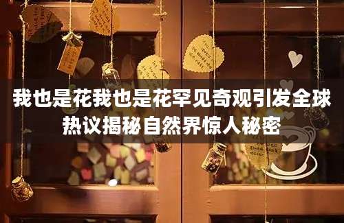 我也是花我也是花罕见奇观引发全球热议揭秘自然界惊人秘密
