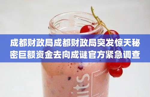 成都财政局成都财政局突发惊天秘密巨额资金去向成谜官方紧急调查