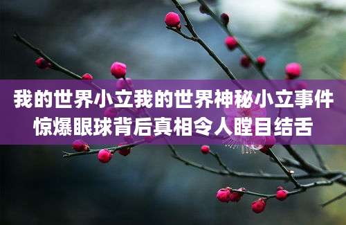 我的世界小立我的世界神秘小立事件惊爆眼球背后真相令人瞠目结舌