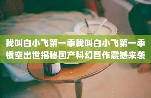 我叫白小飞第一季我叫白小飞第一季横空出世揭秘国产科幻巨作震撼来袭
