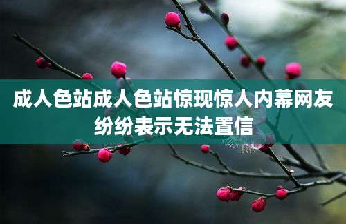 成人色站成人色站惊现惊人内幕网友纷纷表示无法置信