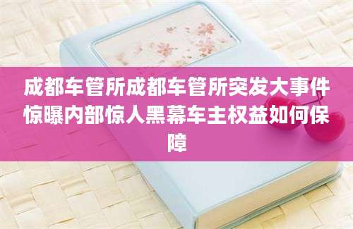 成都车管所成都车管所突发大事件惊曝内部惊人黑幕车主权益如何保障