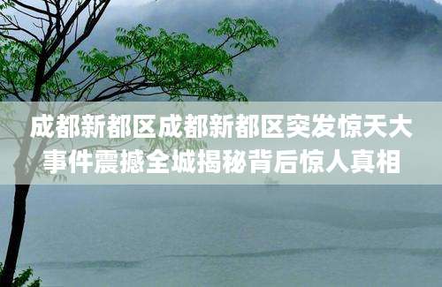 成都新都区成都新都区突发惊天大事件震撼全城揭秘背后惊人真相