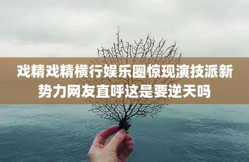戏精戏精横行娱乐圈惊现演技派新势力网友直呼这是要逆天吗