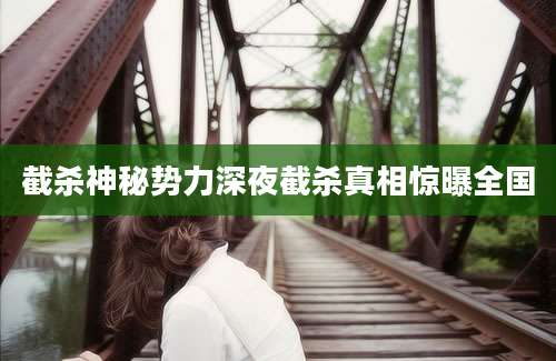 截杀神秘势力深夜截杀真相惊曝全国
