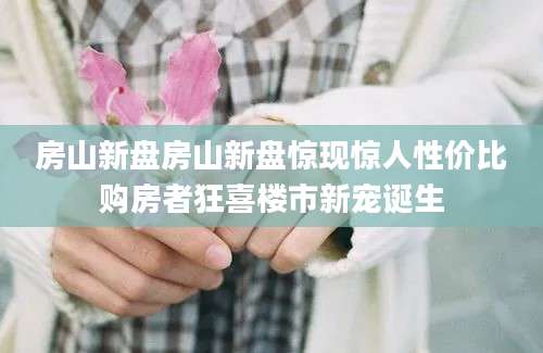 房山新盘房山新盘惊现惊人性价比购房者狂喜楼市新宠诞生
