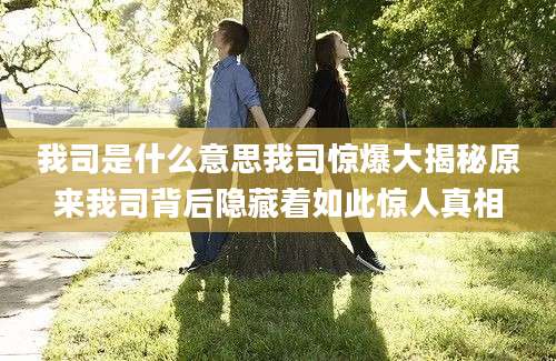 我司是什么意思我司惊爆大揭秘原来我司背后隐藏着如此惊人真相