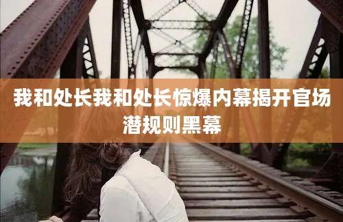 我和处长我和处长惊爆内幕揭开官场潜规则黑幕