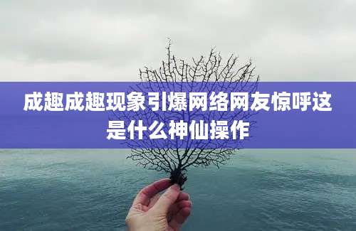 成趣成趣现象引爆网络网友惊呼这是什么神仙操作