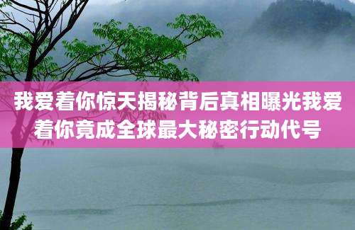 我爱着你惊天揭秘背后真相曝光我爱着你竟成全球最大秘密行动代号