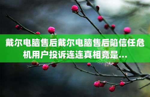 戴尔电脑售后戴尔电脑售后陷信任危机用户投诉连连真相竟是...