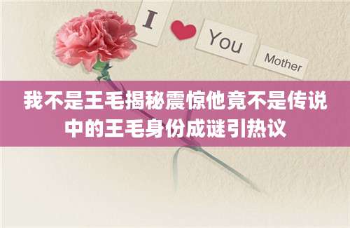 我不是王毛揭秘震惊他竟不是传说中的王毛身份成谜引热议