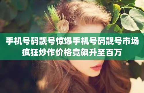 手机号码靓号惊爆手机号码靓号市场疯狂炒作价格竟飙升至百万