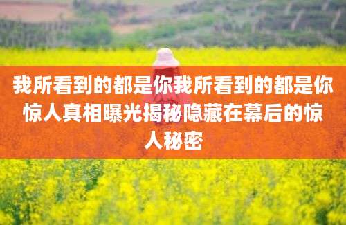 我所看到的都是你我所看到的都是你惊人真相曝光揭秘隐藏在幕后的惊人秘密