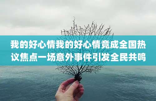 我的好心情我的好心情竟成全国热议焦点一场意外事件引发全民共鸣