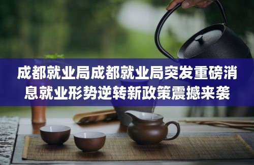 成都就业局成都就业局突发重磅消息就业形势逆转新政策震撼来袭
