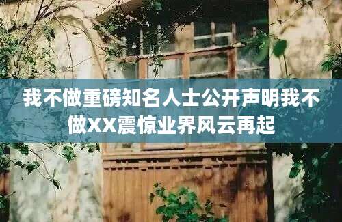 我不做重磅知名人士公开声明我不做XX震惊业界风云再起