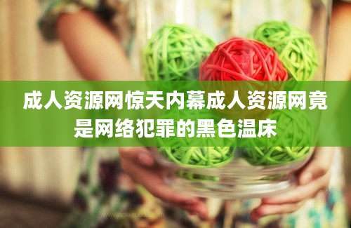 成人资源网惊天内幕成人资源网竟是网络犯罪的黑色温床
