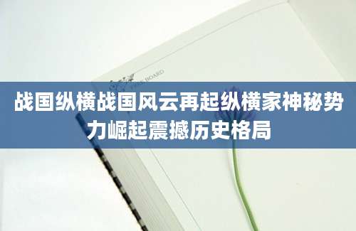 战国纵横战国风云再起纵横家神秘势力崛起震撼历史格局