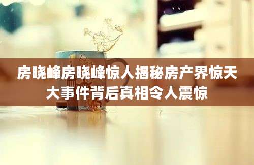 房晓峰房晓峰惊人揭秘房产界惊天大事件背后真相令人震惊