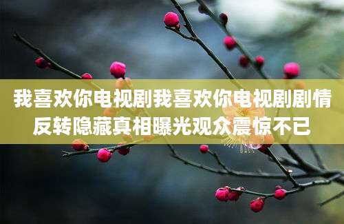 我喜欢你电视剧我喜欢你电视剧剧情反转隐藏真相曝光观众震惊不已