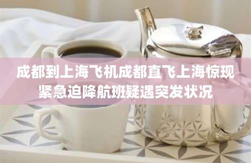 成都到上海飞机成都直飞上海惊现紧急迫降航班疑遇突发状况