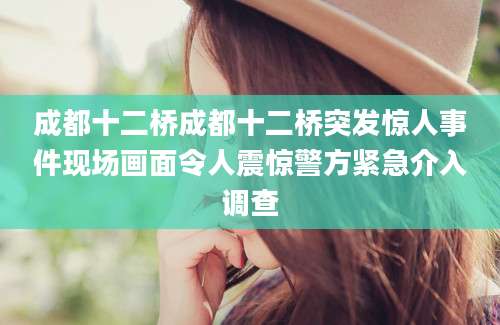 成都十二桥成都十二桥突发惊人事件现场画面令人震惊警方紧急介入调查