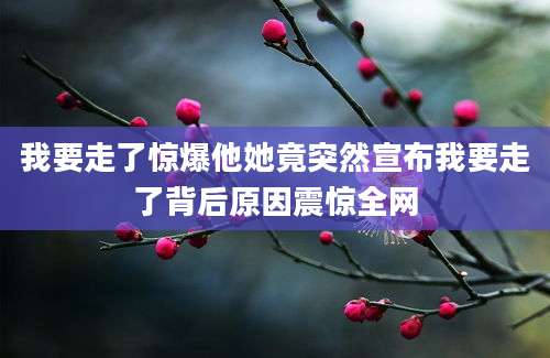 我要走了惊爆他她竟突然宣布我要走了背后原因震惊全网