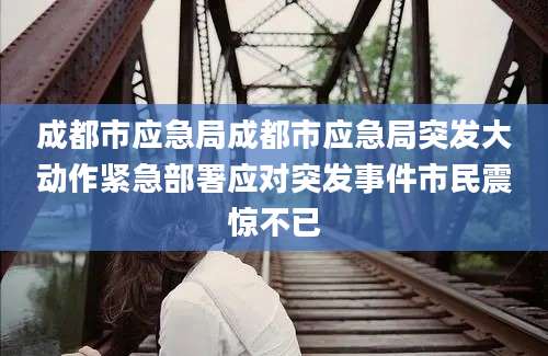 成都市应急局成都市应急局突发大动作紧急部署应对突发事件市民震惊不已