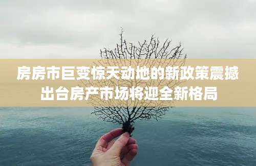 房房市巨变惊天动地的新政策震撼出台房产市场将迎全新格局