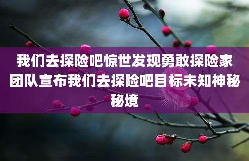 我们去探险吧惊世发现勇敢探险家团队宣布我们去探险吧目标未知神秘秘境