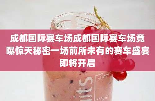 成都国际赛车场成都国际赛车场竟曝惊天秘密一场前所未有的赛车盛宴即将开启