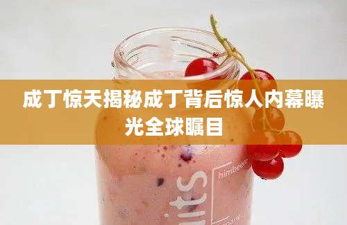 成丁惊天揭秘成丁背后惊人内幕曝光全球瞩目