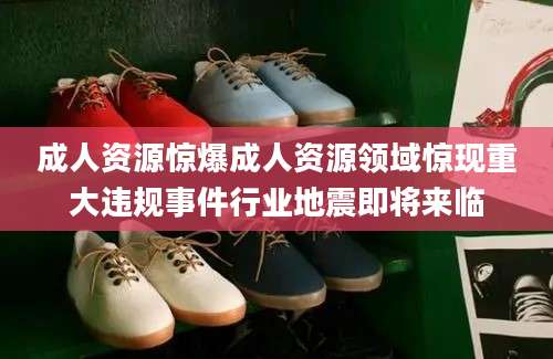 成人资源惊爆成人资源领域惊现重大违规事件行业地震即将来临