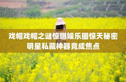 戏帽戏帽之谜惊曝娱乐圈惊天秘密明星私藏神器竟成焦点
