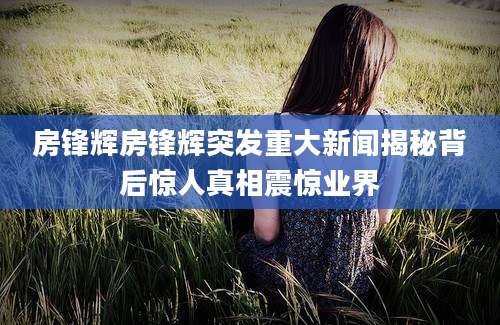 房锋辉房锋辉突发重大新闻揭秘背后惊人真相震惊业界