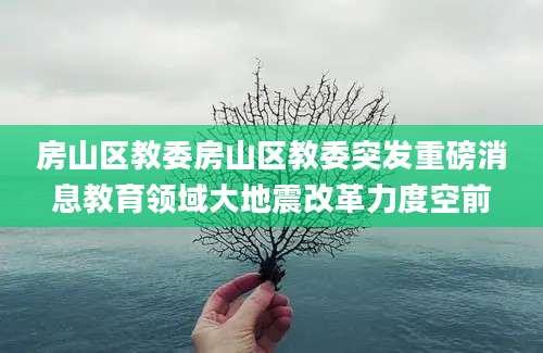 房山区教委房山区教委突发重磅消息教育领域大地震改革力度空前