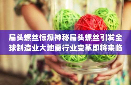 扁头螺丝惊爆神秘扁头螺丝引发全球制造业大地震行业变革即将来临