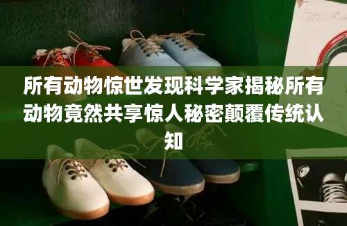 所有动物惊世发现科学家揭秘所有动物竟然共享惊人秘密颠覆传统认知