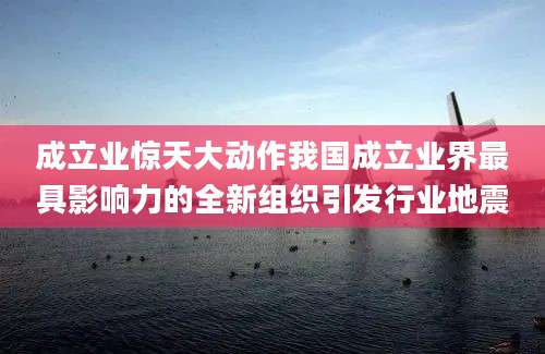 成立业惊天大动作我国成立业界最具影响力的全新组织引发行业地震