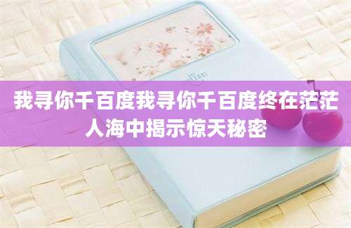 我寻你千百度我寻你千百度终在茫茫人海中揭示惊天秘密