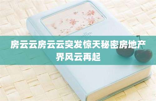 房云云房云云突发惊天秘密房地产界风云再起