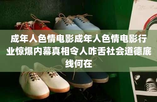 成年人色情电影成年人色情电影行业惊爆内幕真相令人咋舌社会道德底线何在