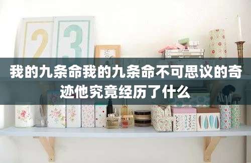 我的九条命我的九条命不可思议的奇迹他究竟经历了什么