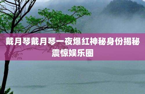 戴月琴戴月琴一夜爆红神秘身份揭秘震惊娱乐圈