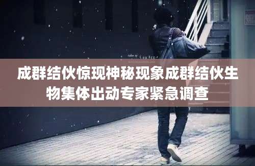 成群结伙惊现神秘现象成群结伙生物集体出动专家紧急调查