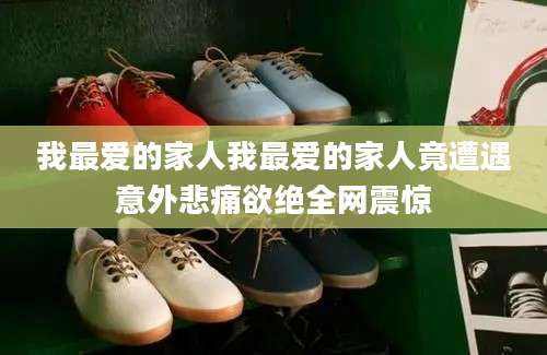 我最爱的家人我最爱的家人竟遭遇意外悲痛欲绝全网震惊