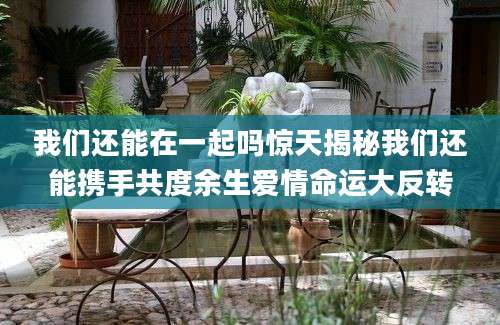 我们还能在一起吗惊天揭秘我们还能携手共度余生爱情命运大反转