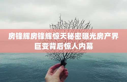 房锋辉房锋辉惊天秘密曝光房产界巨变背后惊人内幕