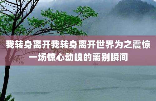 我转身离开我转身离开世界为之震惊一场惊心动魄的离别瞬间